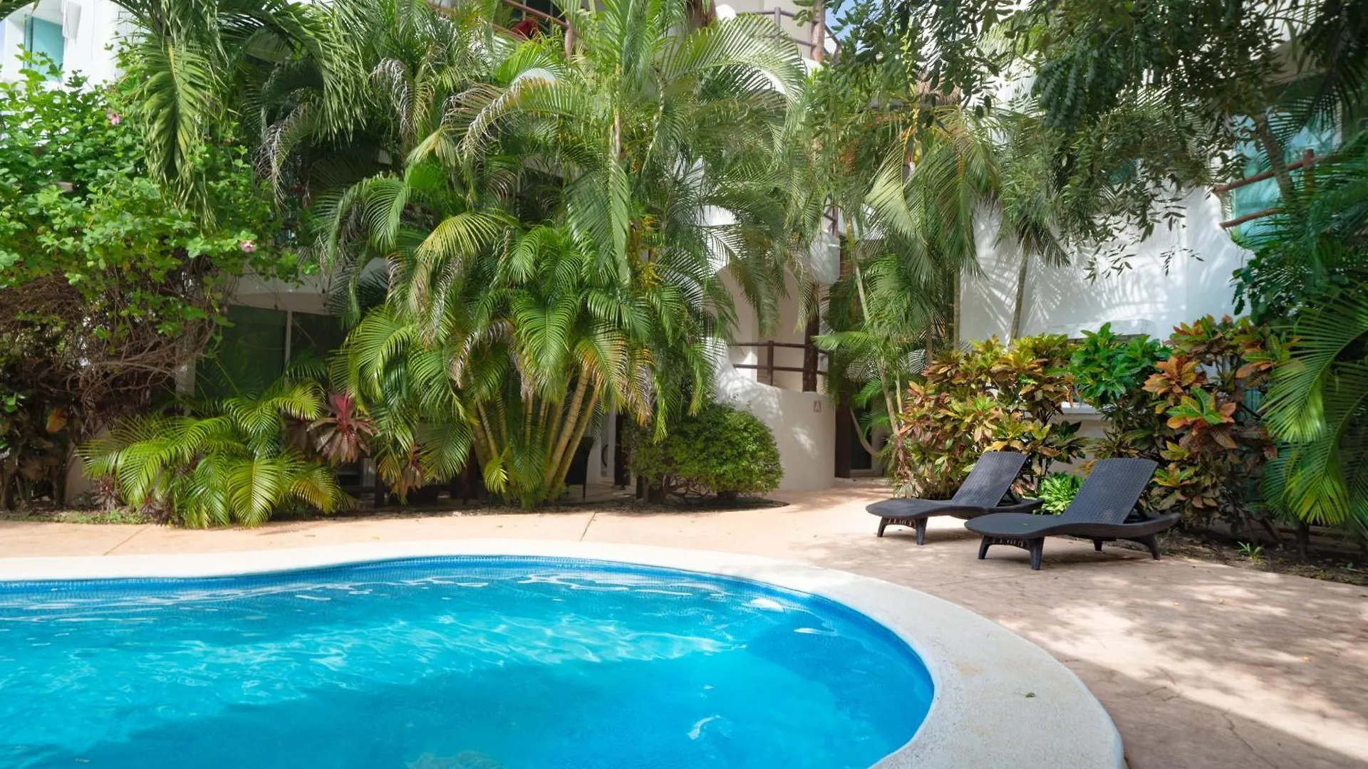 Holiday home 3 Bedroom Condo With Pool - Los Lirios Playacar Phase Ll - Melrose Place Playa del Carmen