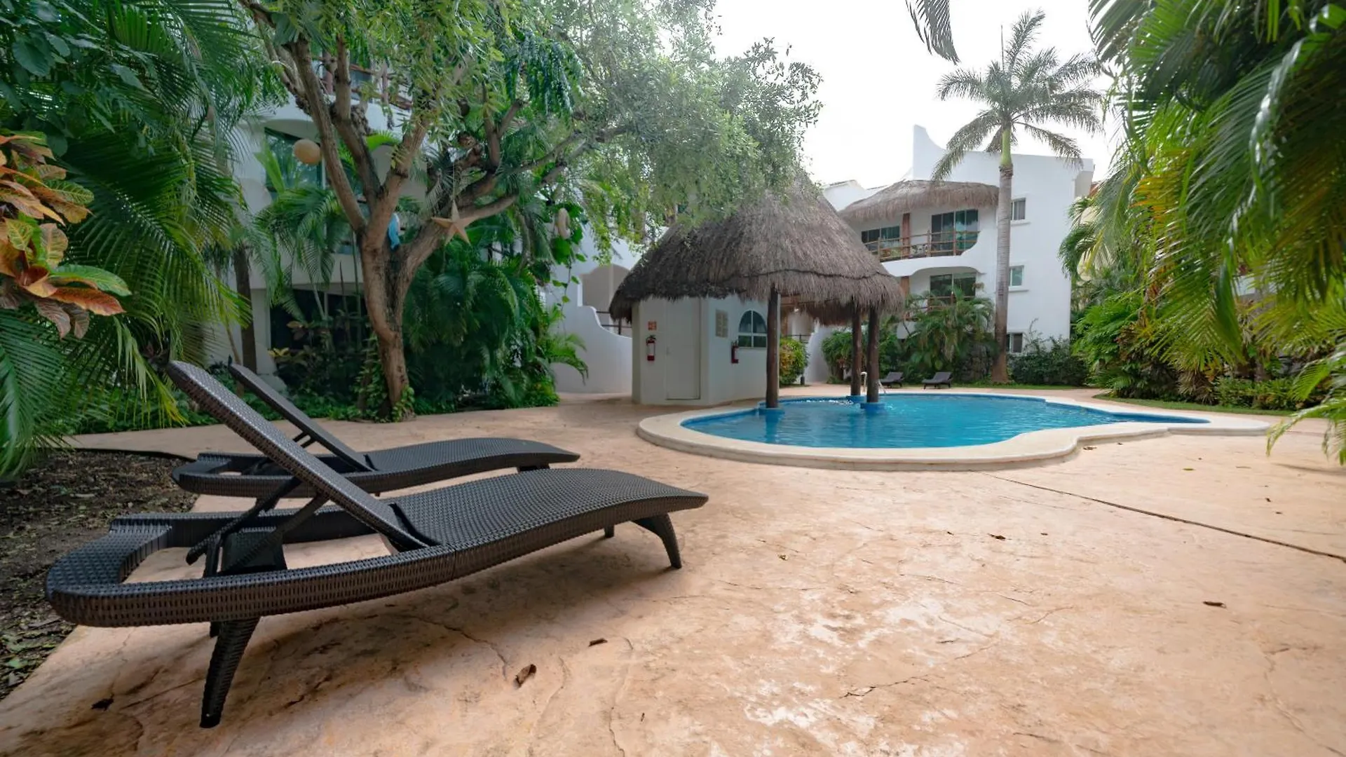 3 Bedroom Condo With Pool - Los Lirios Playacar Phase Ll - Melrose Place location